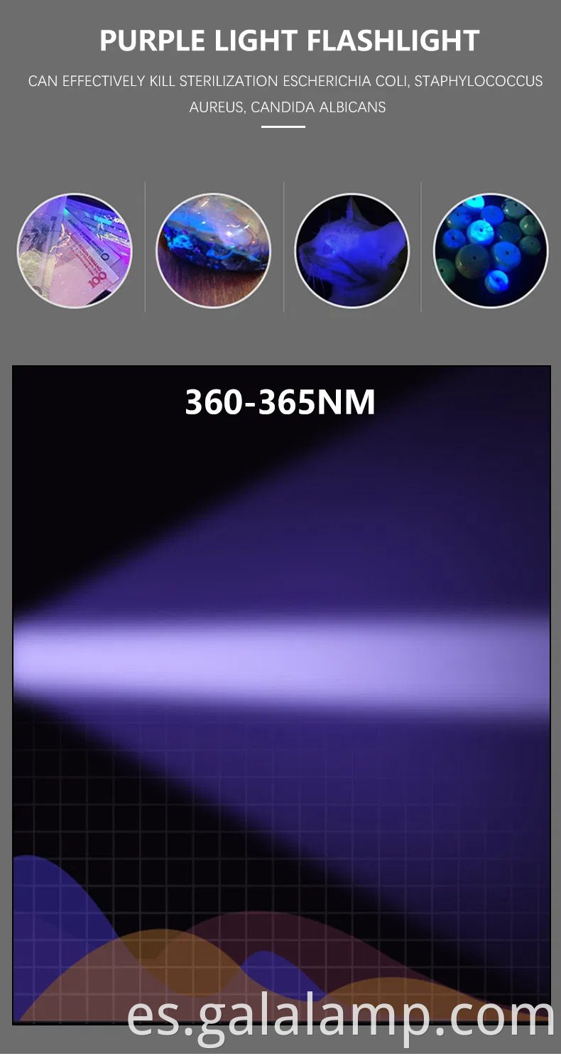 Linterna UV USB portátil para detectar dinero falsificado